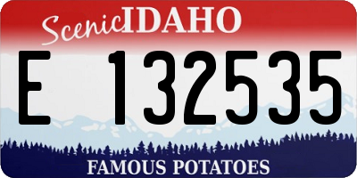 ID license plate E132535