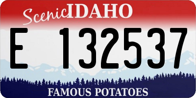 ID license plate E132537