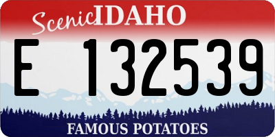 ID license plate E132539