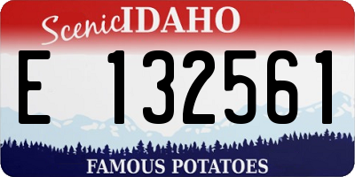 ID license plate E132561