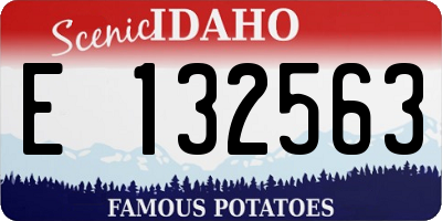 ID license plate E132563