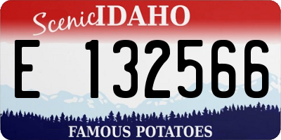 ID license plate E132566
