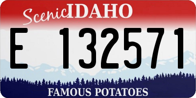ID license plate E132571