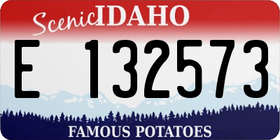 ID license plate E132573