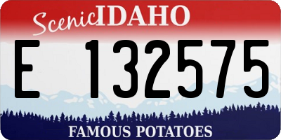 ID license plate E132575