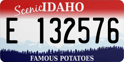 ID license plate E132576