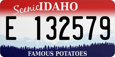 ID license plate E132579