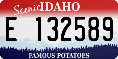 ID license plate E132589