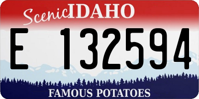 ID license plate E132594