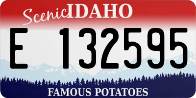 ID license plate E132595