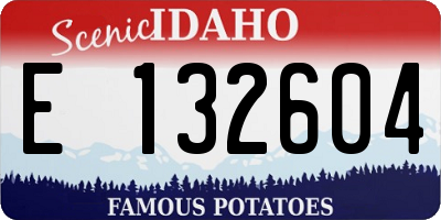 ID license plate E132604
