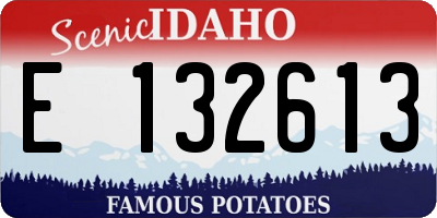 ID license plate E132613