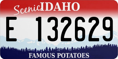ID license plate E132629
