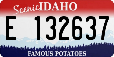 ID license plate E132637