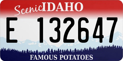 ID license plate E132647