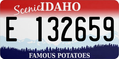 ID license plate E132659