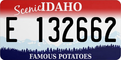 ID license plate E132662