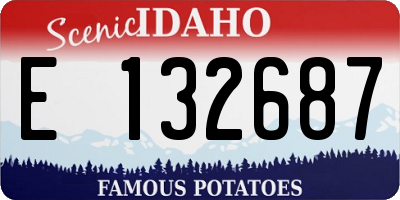 ID license plate E132687