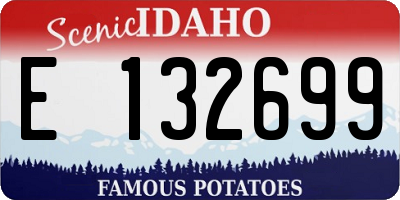 ID license plate E132699