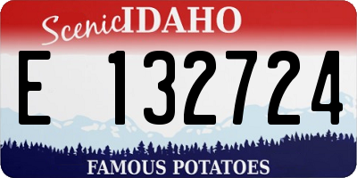 ID license plate E132724