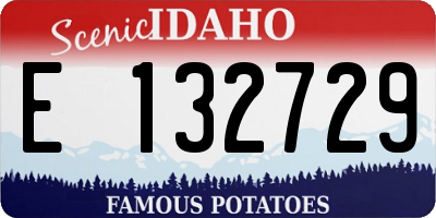 ID license plate E132729