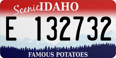ID license plate E132732