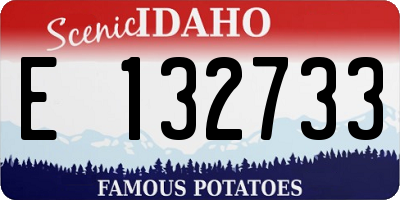ID license plate E132733