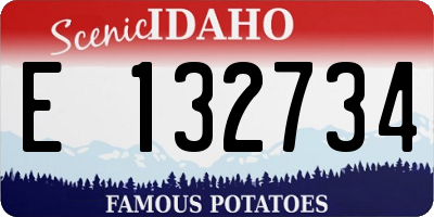 ID license plate E132734