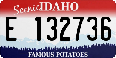 ID license plate E132736