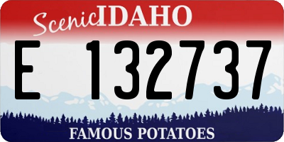 ID license plate E132737