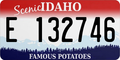 ID license plate E132746