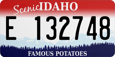 ID license plate E132748