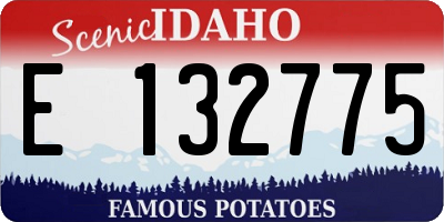 ID license plate E132775