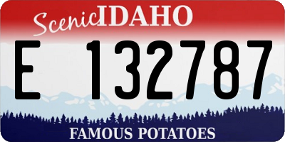 ID license plate E132787