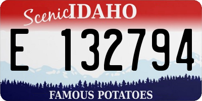 ID license plate E132794