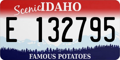 ID license plate E132795