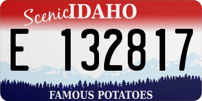 ID license plate E132817