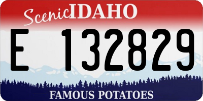 ID license plate E132829