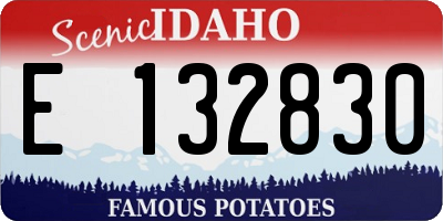 ID license plate E132830