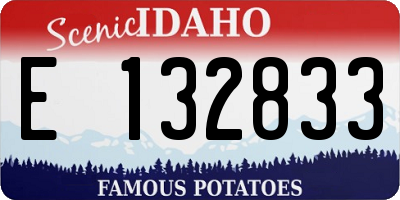 ID license plate E132833
