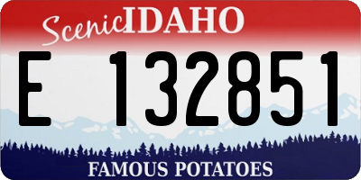 ID license plate E132851