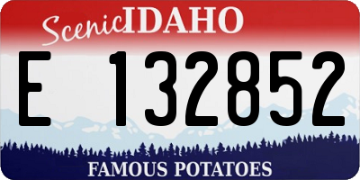 ID license plate E132852