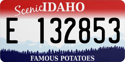 ID license plate E132853