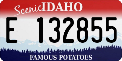 ID license plate E132855