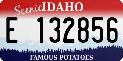 ID license plate E132856