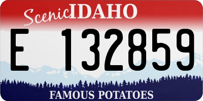 ID license plate E132859