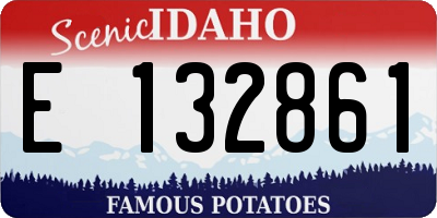 ID license plate E132861