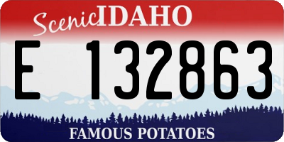 ID license plate E132863