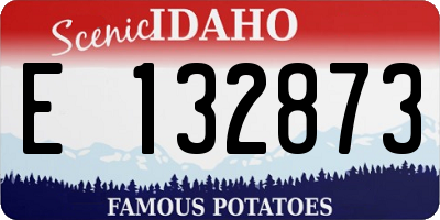 ID license plate E132873