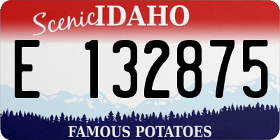 ID license plate E132875